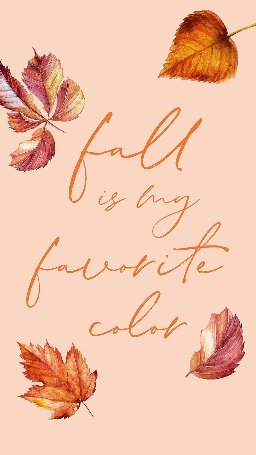 Fall is My Favorite Color -, Welcome Fall HD phone wallpaper | Pxfuel