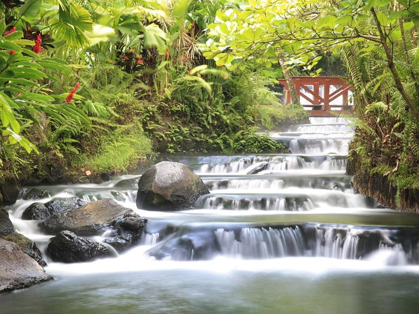 WATERFALLS, relaxing, waterfall, nature, green HD wallpaper