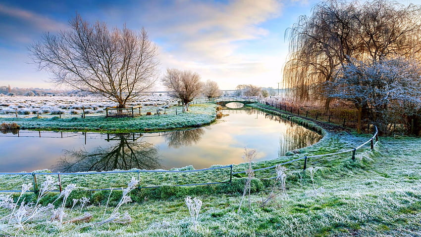 Frosty Field At Sunrise, frost, canal, cold, beautiful, grass, sunrise, England, field, fence, bridge, trees HD wallpaper