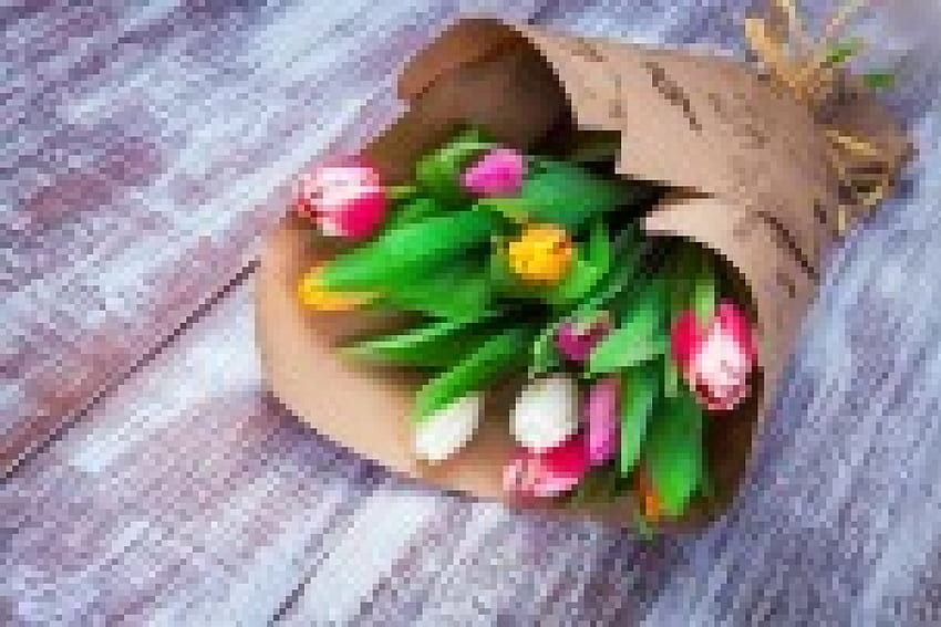 Bukiet kolorowych tulipanów, kolorowych, ładnych, pięknych, kwiatów, tulipanów, wiosennych, ślicznych Tapeta HD