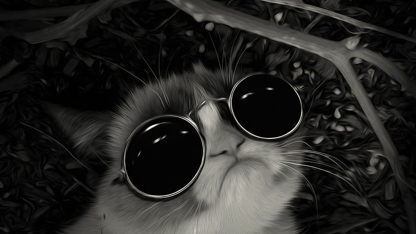 Coole Katze mit Brille, Hippie-Katze HD-Hintergrundbild