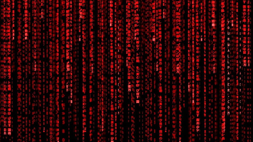 Анимиран матричен фон - червен двоичен код, матричен двоен екран HD тапет