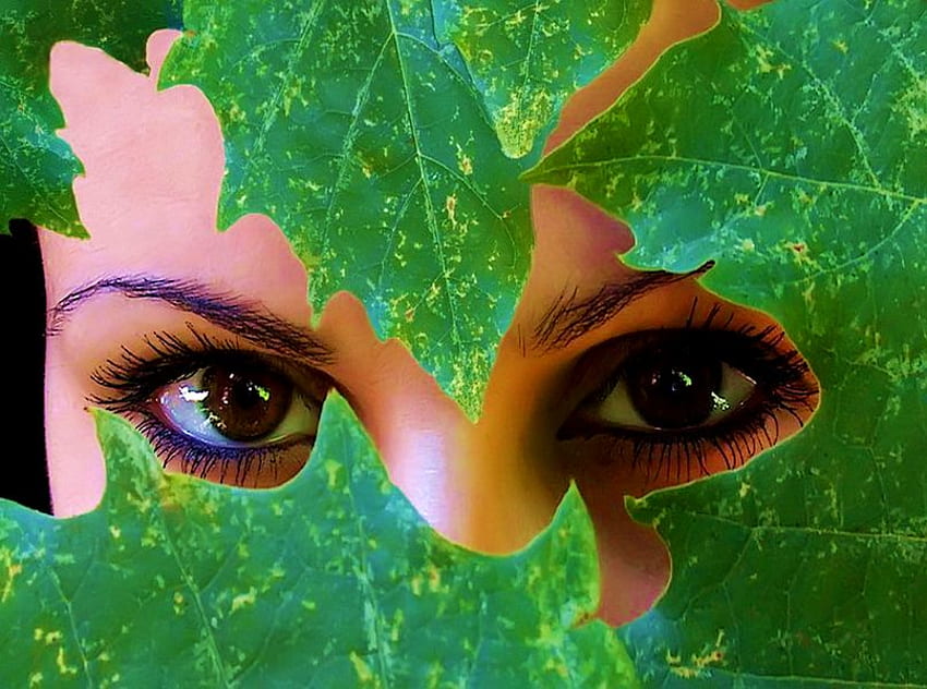 YEUX CACHÉS, marron, vert, yeux, caché, feuilles, beauté Fond d'écran HD