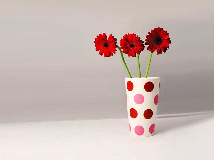 ดอกไม้, Gerberas, Minimalism, Vase, Three, Peas, Pea วอลล์เปเปอร์ HD