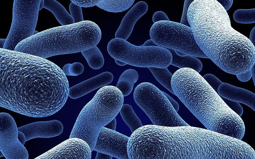 Mikroorganisme 3D, Mikroba Wallpaper HD