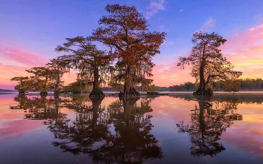 Morning Sunrise, swamp, sky, water, reflections, trees HD wallpaper
