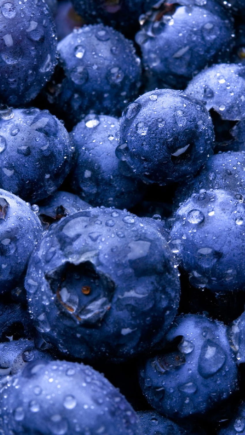 Blueberry, Blue Food HD phone wallpaper