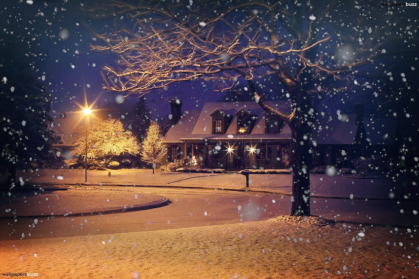 Winter evening , Cozy Night HD wallpaper