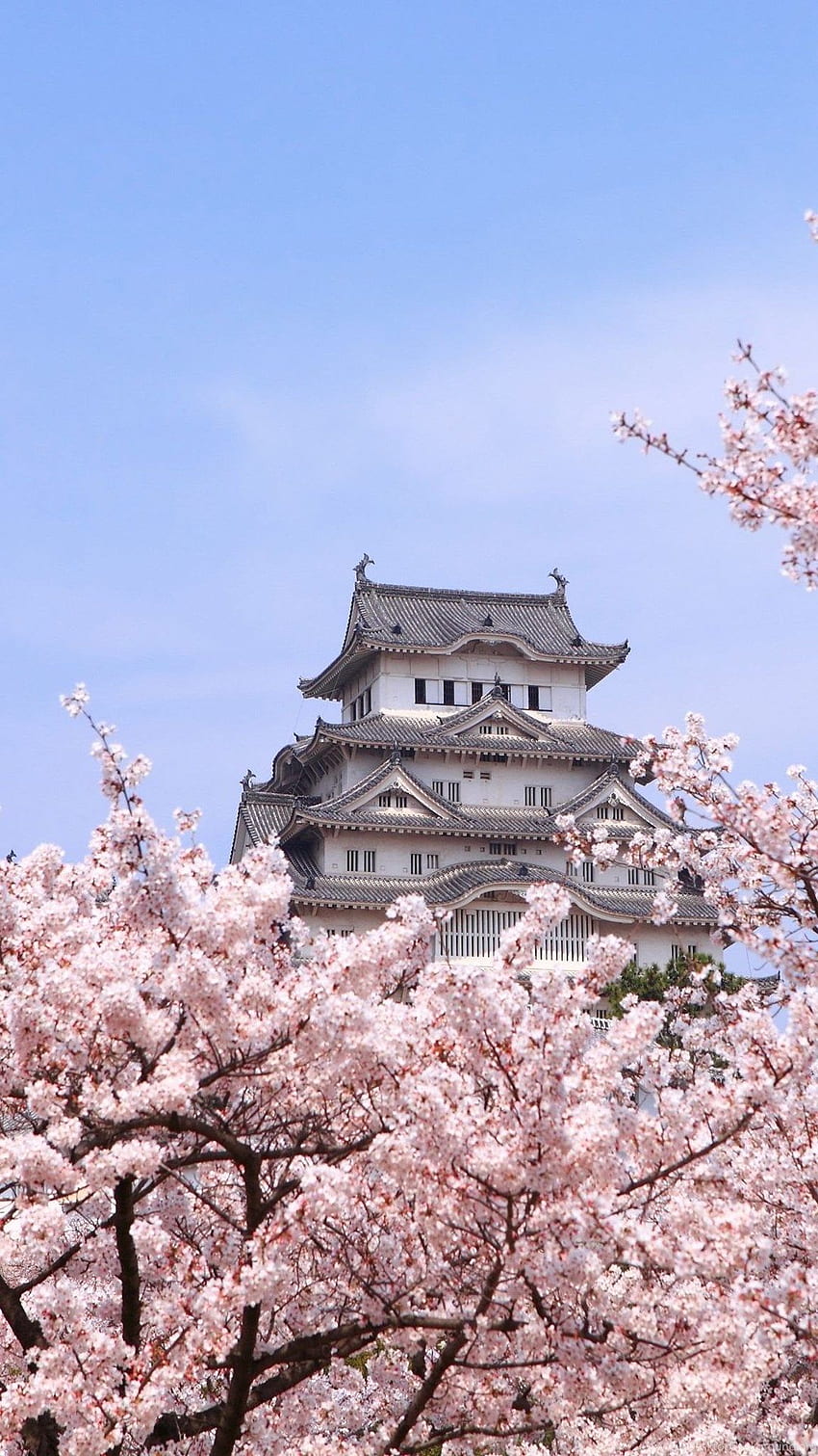 Japan Himeji Castle / iPad Background HD phone wallpaper