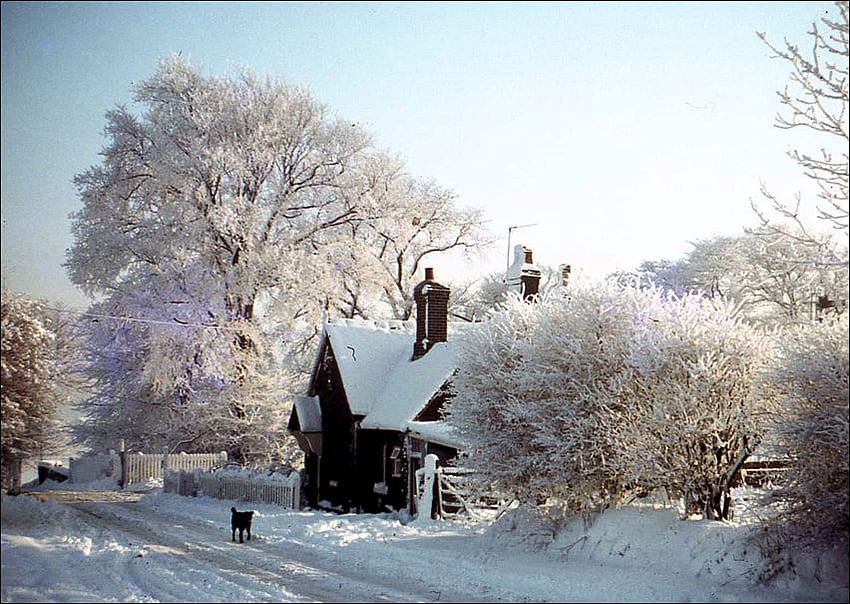 railway cottage, winter, white, snow, trees, road, cottage, railway HD wallpaper