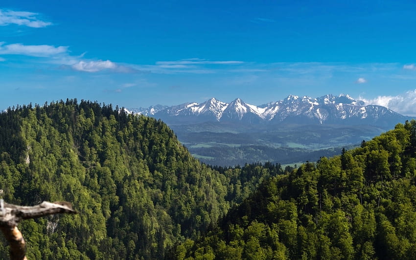 Tatra In Poland Tatra Forest Mountains Poland HD   Pxfuel   Desktop   Tatra In Poland Tatra Forest Mountains Poland 