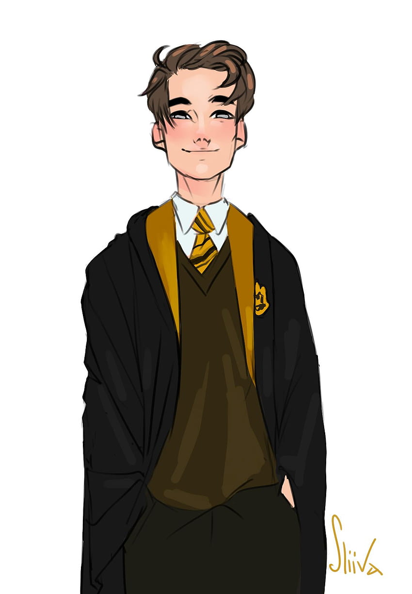 Cedric Harry Potter, Cedric Diggory HD phone wallpaper | Pxfuel