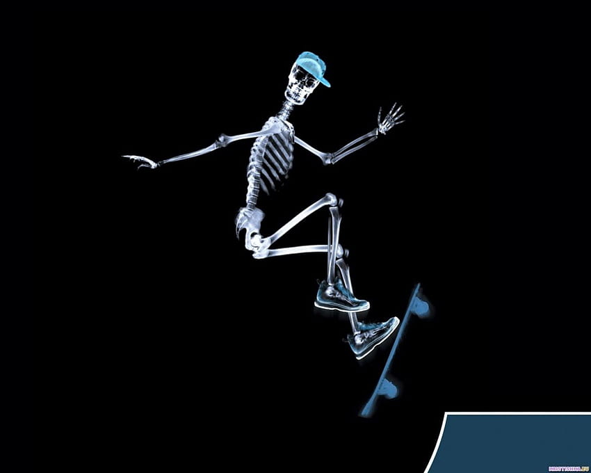 Il salto, skateboard, scheletro, raggi x, divertente, salto Sfondo HD