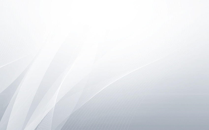 白の抽象的な背景 - PowerPoint の背景、グレーの抽象 高画質の壁紙
