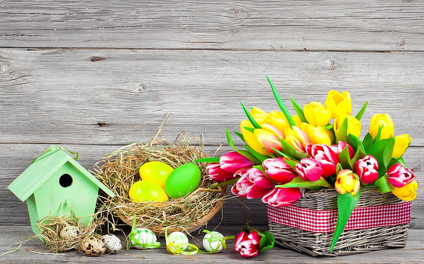 Великденски яйца и цветя, Великден, Яйца, Цветя, Къща за птици, Природа HD тапет