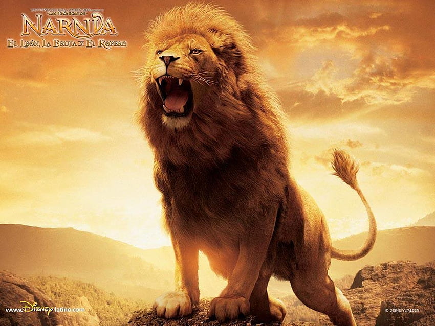 Narnia . Narnia , The Chronicles of Narnia and The Chronicles of Narnia Background, Scary Lion HD wallpaper