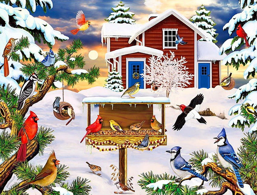 Desayuno de invierno, invierno, pájaros, cirds, pajarera, agradable, feriado, nieve, amigos, cardenales, escarcha, nevado, escena, congelado, estado de ánimo, casa, hermoso, árbol, desayuno, bonita, navidad, bufet, ramas, cabaña, alegría , encantador, hielo fondo de pantalla