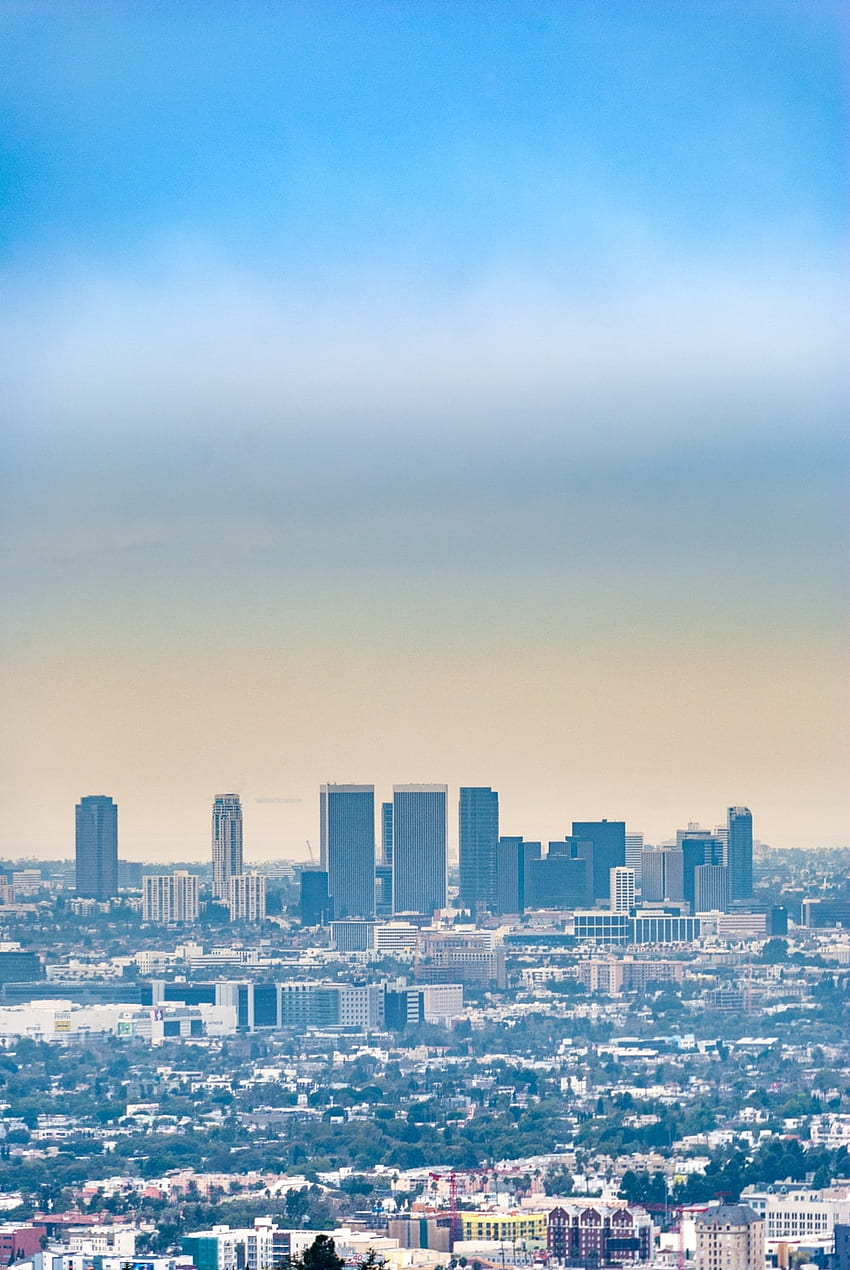 Los Angeles Cityscape, Cityscape Daytime HD phone wallpaper