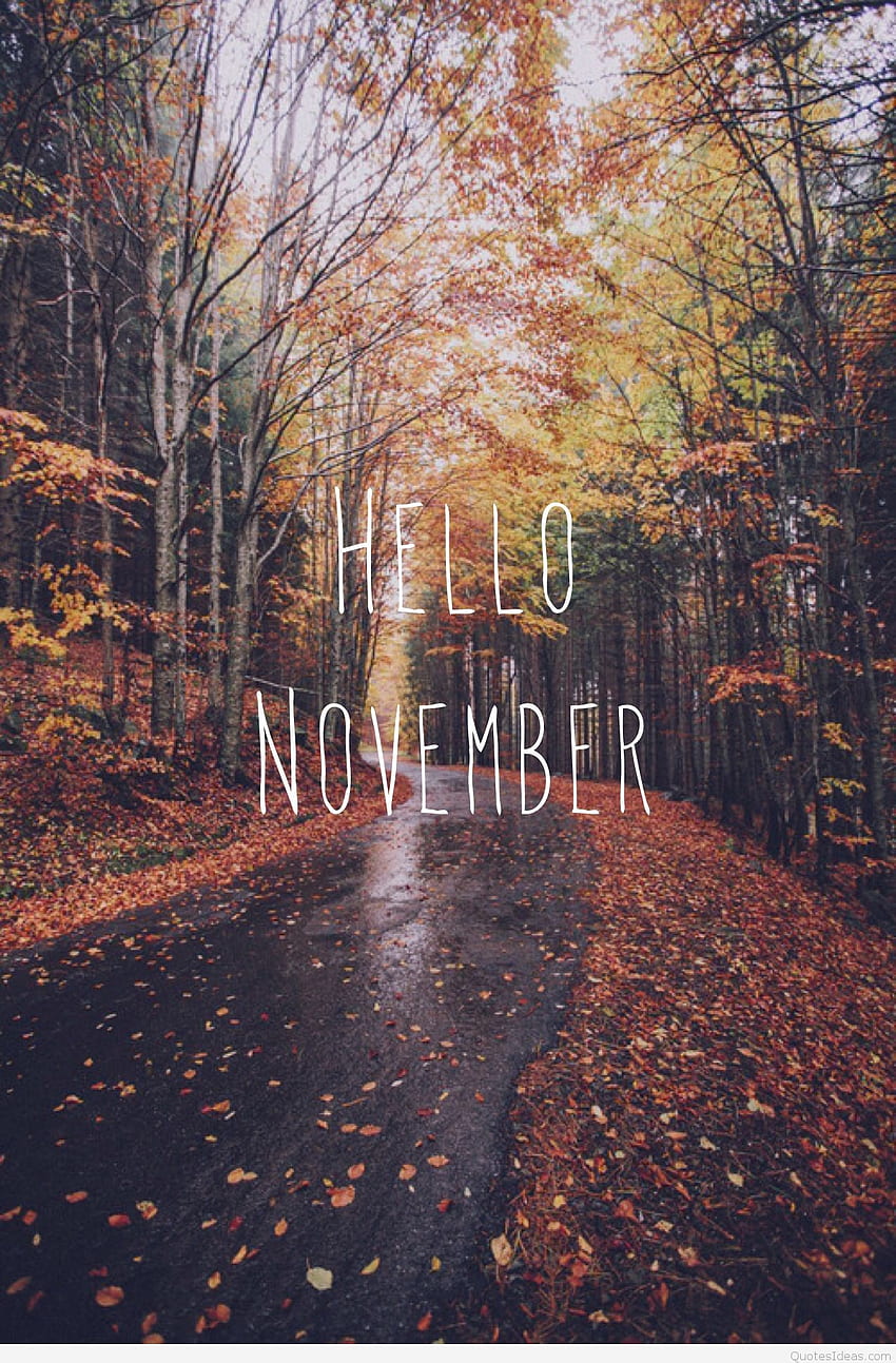 1080P Free download | Best Hello November , Sayings, quotes background ...