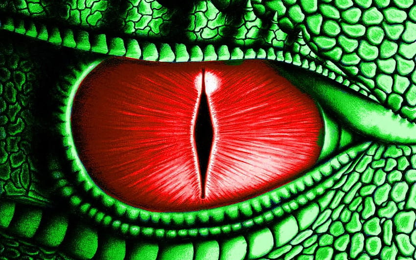 new dragon eye . Dragon eye, Dragon artwork, Eyes, Green Dragon Eye HD wallpaper