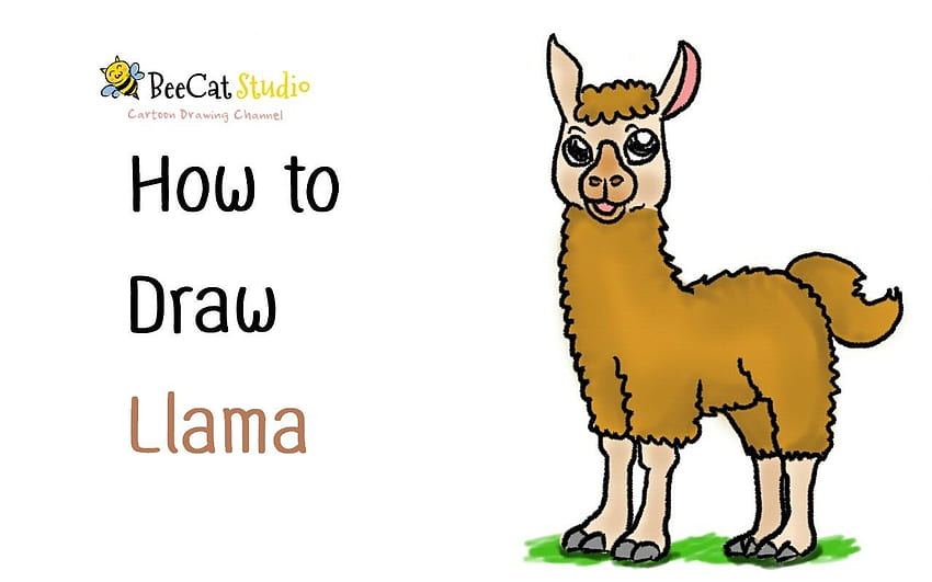 llamas de dibujos animados