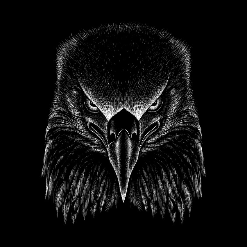 PNG сектор: орел , орел , емблеми на орел.., орел черно и бяло HD тапет за телефон