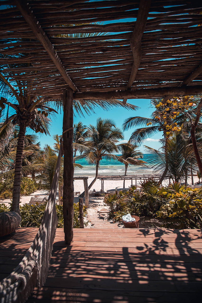 natureza, praia, palmeiras, verão, relaxamento, descanso, trópicos Papel de parede de celular HD