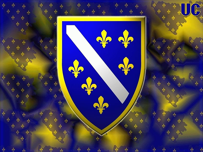 Fundo da bandeira da Bósnia, antiga bandeira da Bósnia papel de parede HD