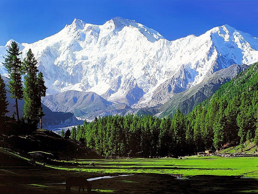 Kashmir Pakistan Beautiful Place. Nanga parbat, Beautiful HD wallpaper