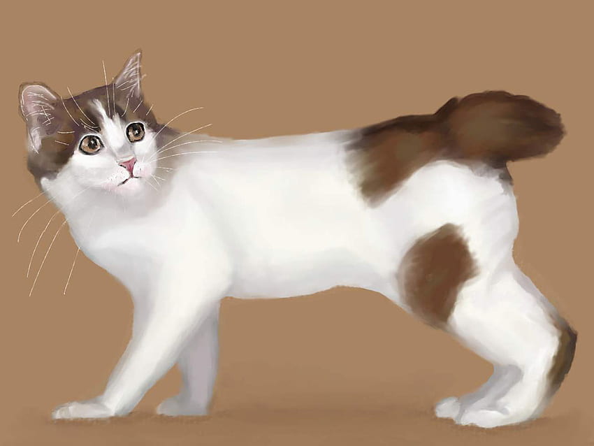 Painting of a cat, animal, kitten, painting, art, cute, cat, breed HD wallpaper