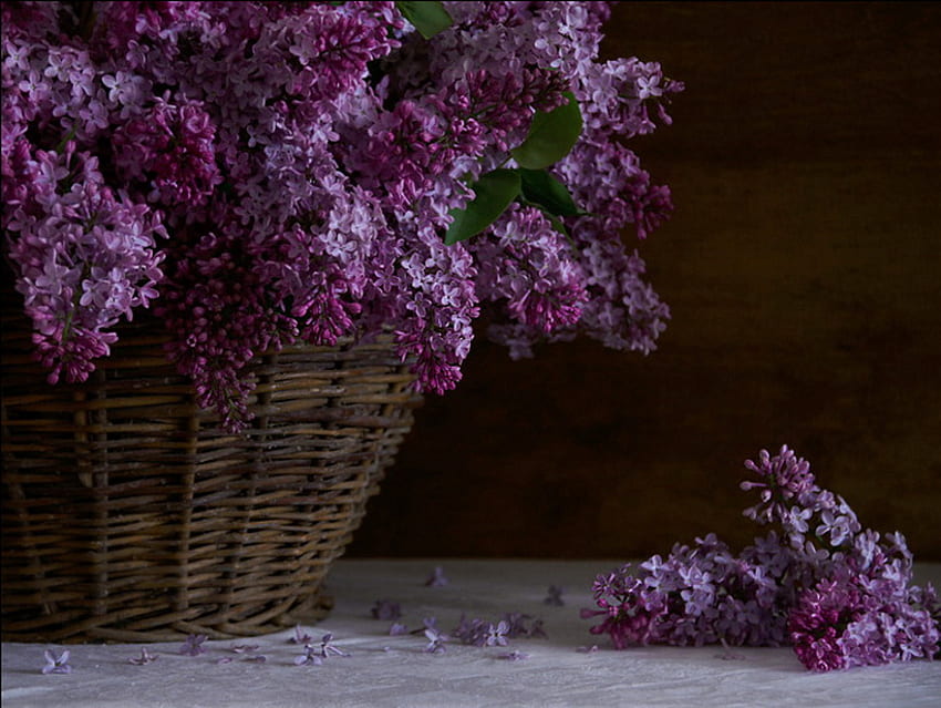 Keranjang Penuh Lilac, keranjang, ungu, meja, kelopak bunga, lilac, cantik, kain Wallpaper HD