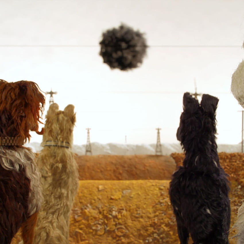 Isle of Dogs-Rezension: Wes Andersons neueste Version hat Stil, es fehlt ihr an Substanz HD-Handy-Hintergrundbild