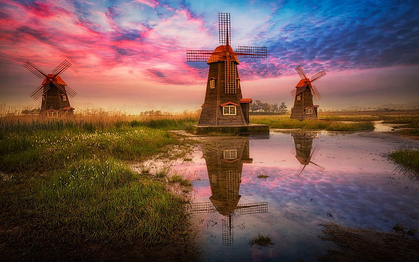 Dutch Windmill at Cool Monodomo HD wallpaper