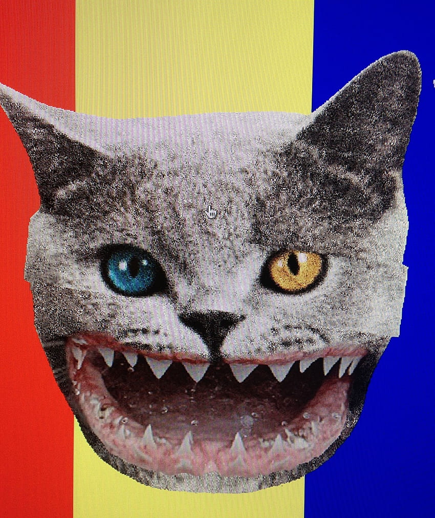 Golf Wang Shark Mouth. Space cat, Golf wang, Cat, Tron Cat HD phone wallpaper