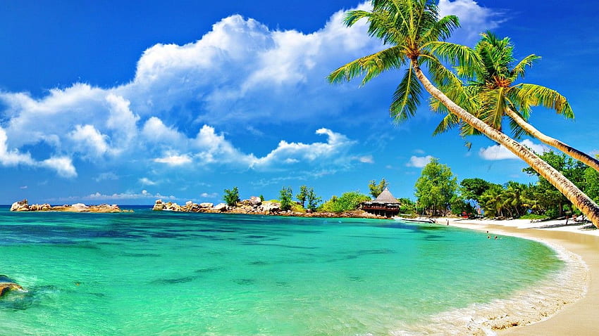 Waterfall Tropical Beach. Tropical Beach - Samsung Galaxy , & HQ. Beach , Beach background, Andaman and nicobar islands HD wallpaper