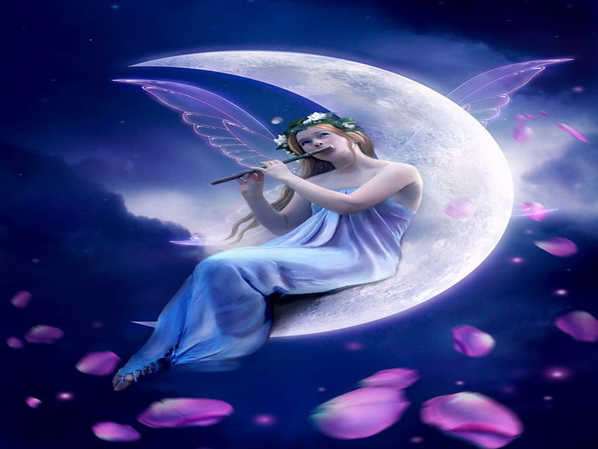 moonlight melody, fairy, moon nightime, purple, flute, light, petals HD wallpaper