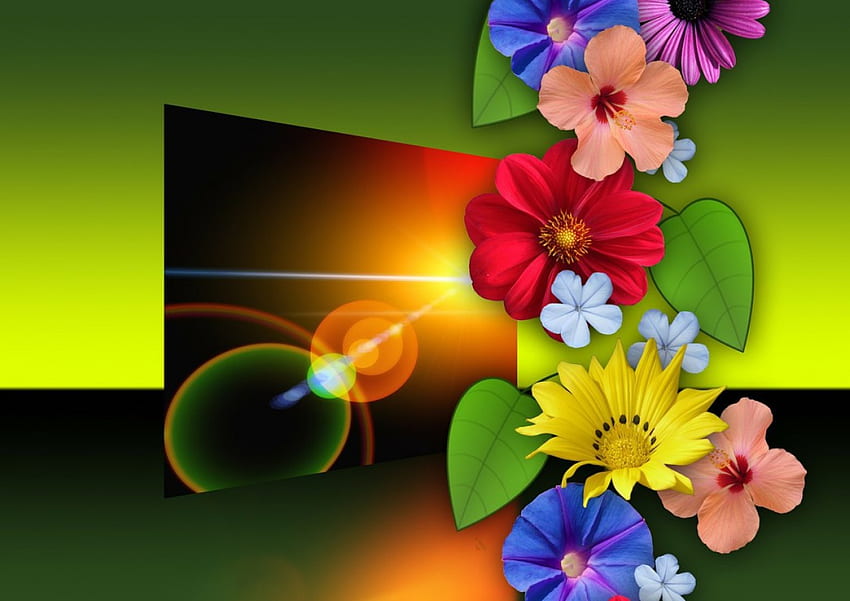 Fond floral, arrière-plan, coloré, joli, floral, beau, fleurs Fond d'écran HD