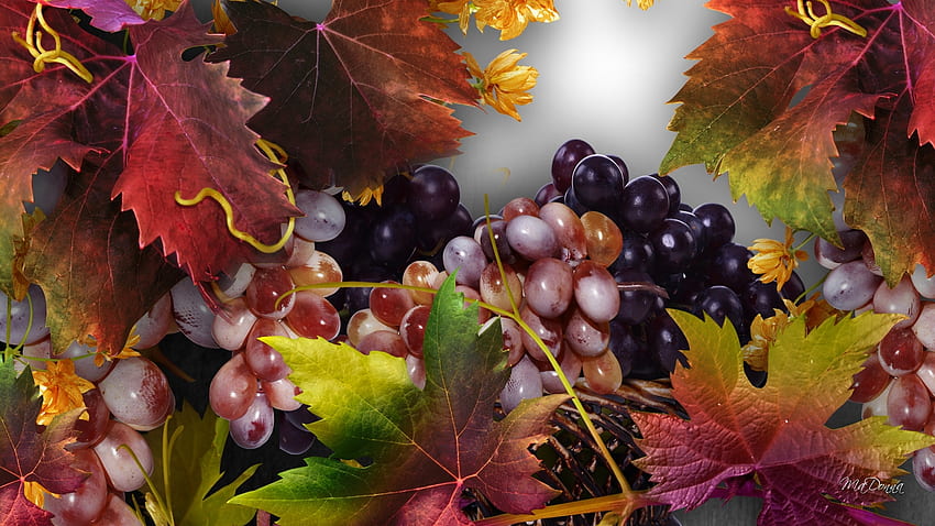 Grapes of Fall, grapes, fall, Firefox Persona theme, leaves, light, vinyarad, fruit, autumn, wine HD wallpaper