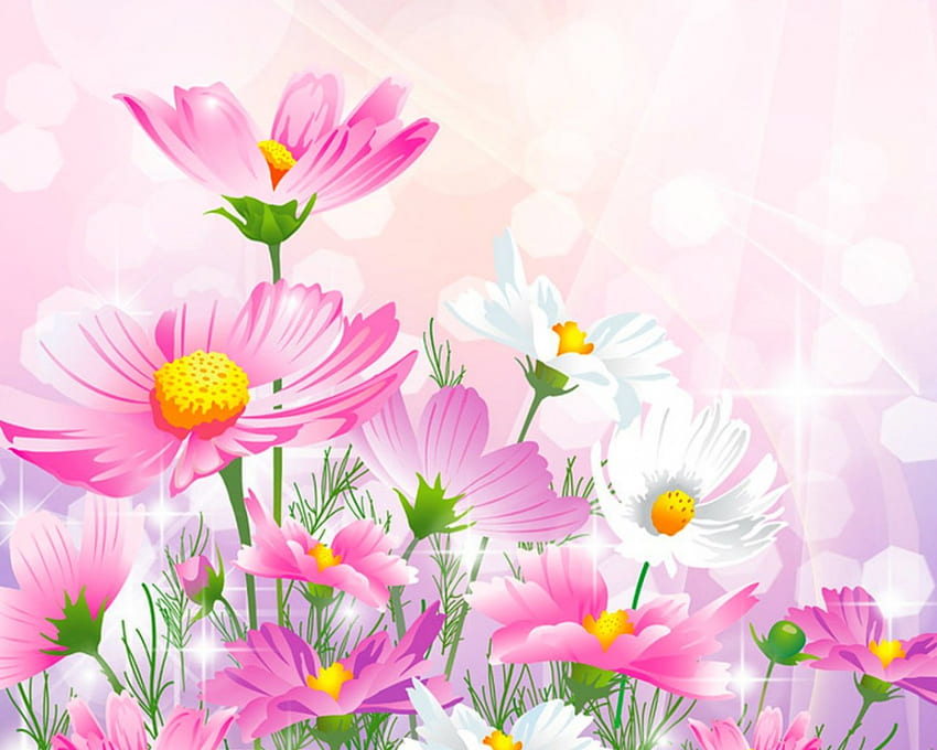 Lindas Flores, bokeh, rosa, flores, arte papel de parede HD