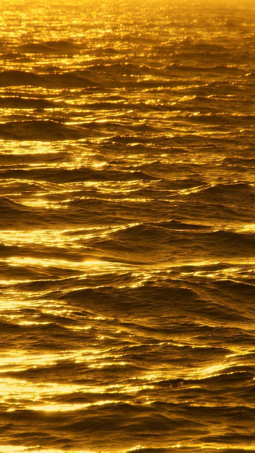Louis Vuitton Wallpaper • Rose Gold  Louis vuitton iphone wallpaper, Rose  gold wallpaper iphone, Gold wallpaper iphone