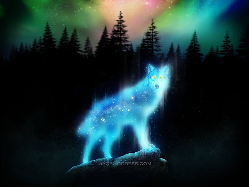 Custom Sage Goddess able Wolf Spirit Animal, Wolf Aurora HD wallpaper