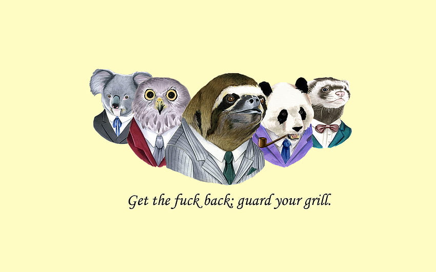Sloth Suit WTF Fuck Owl Koala Panda Weasel HD wallpaper