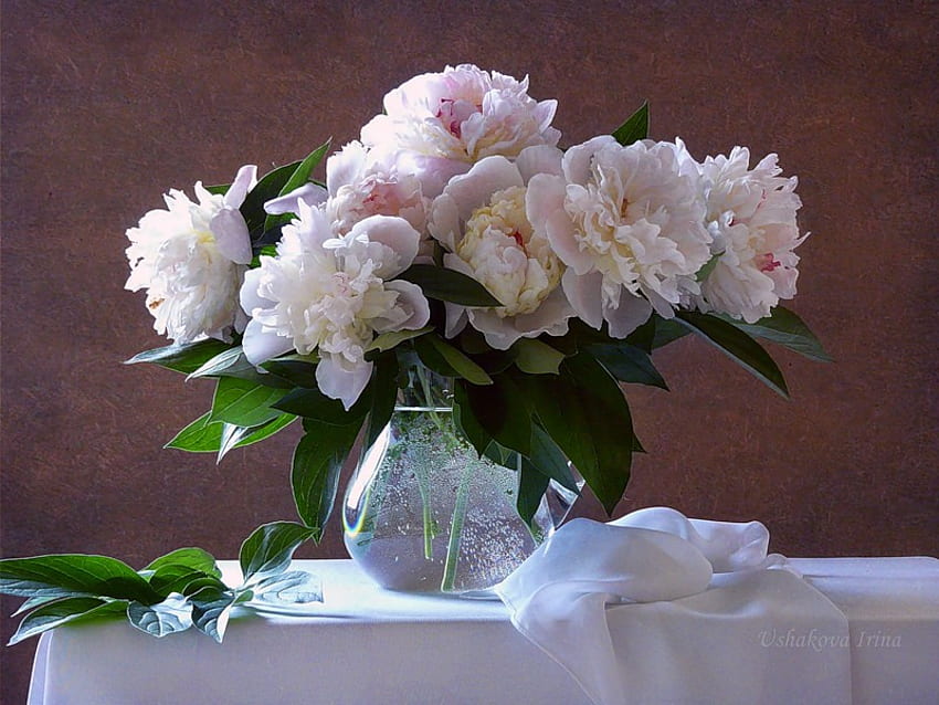 still life, white, bouquet, graphy, peony, vase, beautiful, nice, jug, pink, flower, cool, flowers, , water HD wallpaper