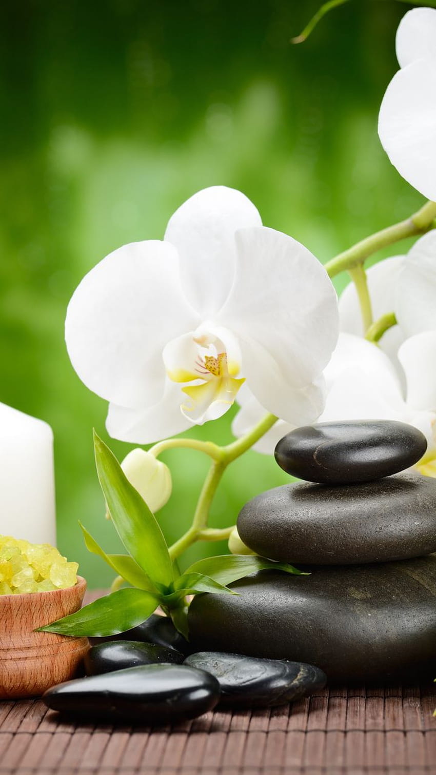 black, flower, massage, orchid, bamboo, spa, stones HD phone wallpaper