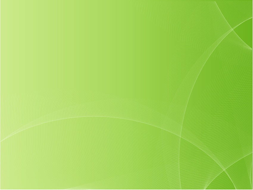 Galeri untuk - desain latar belakang hijau muda, Spanduk Hijau Wallpaper HD