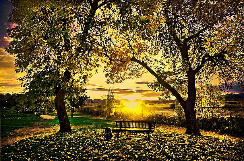 A spot for two, bench, golden sky, clouds, trees, country, sunset HD  wallpaper | Pxfuel