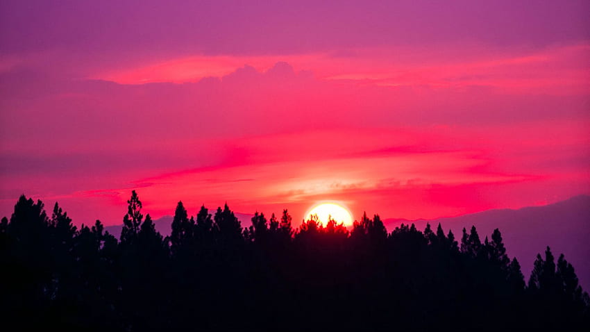 พระอาทิตย์ตก ท้องฟ้า ชมพู ต้นไม้ จอไวด์สกรีน 16:9 พื้นหลัง 1600 X 900 Red Sunset วอลล์เปเปอร์ HD