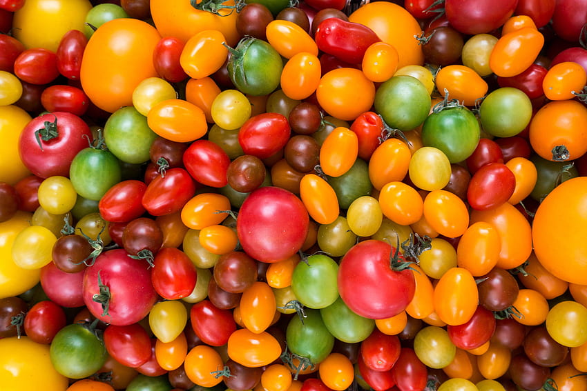 Lebensmittel, Tomaten, Vielfalt HD-Hintergrundbild