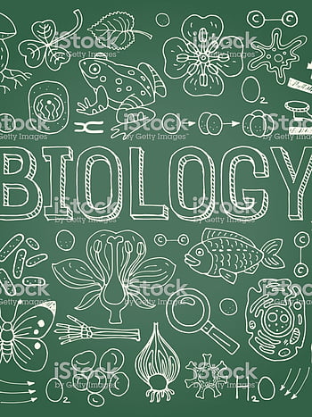 Aesthetic biology HD wallpapers | Pxfuel