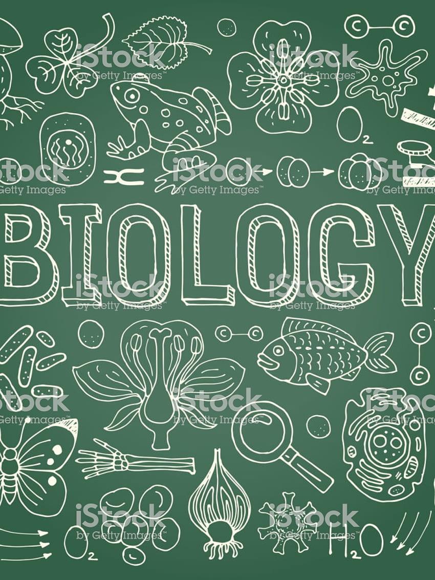 Biologie Hintergrund Stock-Illustration Jetzt iStock [] für Ihr , Handy und Tablet. Erkunden Sie Hintergrundbiologie. Biologie, Hintergrundbiologie, Biologiehintergrund, ästhetische Biologie HD-Handy-Hintergrundbild